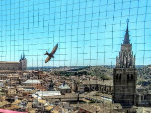 Výhľad na Toledo z veže kostola svätého Ildefonsa